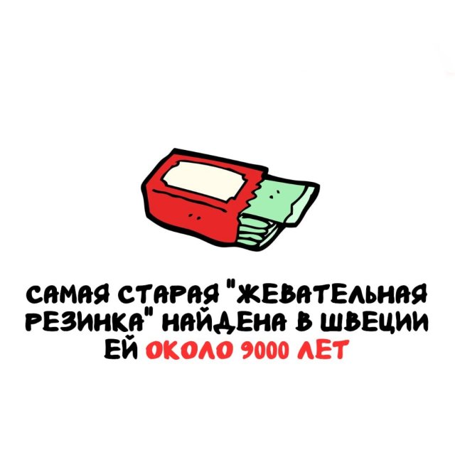 Интересные факты на все случаи жизни