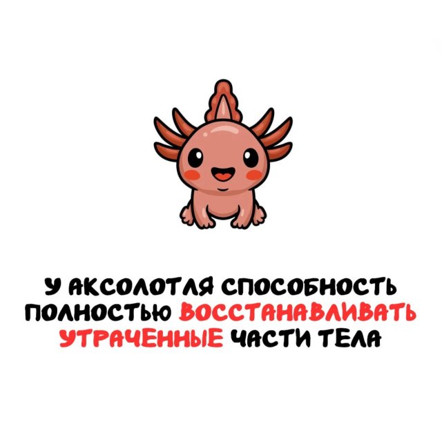 Интересные факты на все случаи жизни