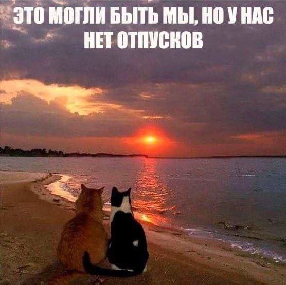 Лучшие шутки и мемы из Сети - 16.09.2025