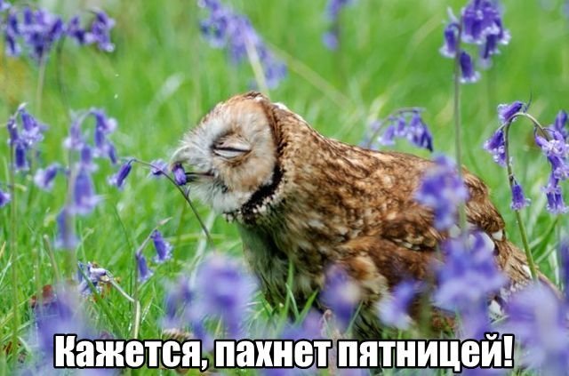 Трынделка - 18.09.2025