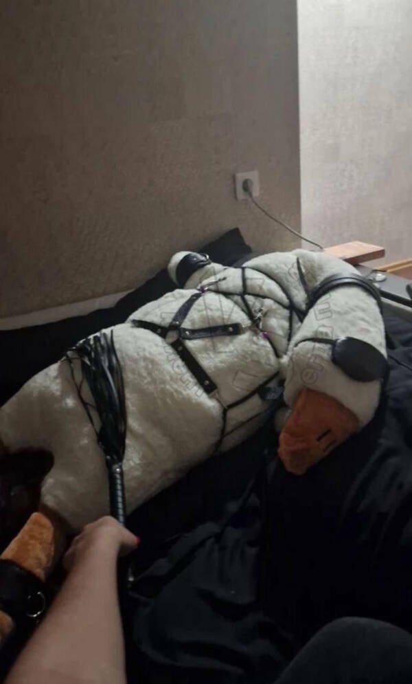 Подборка картинок. Вечерний выпуск - 18.09.2025