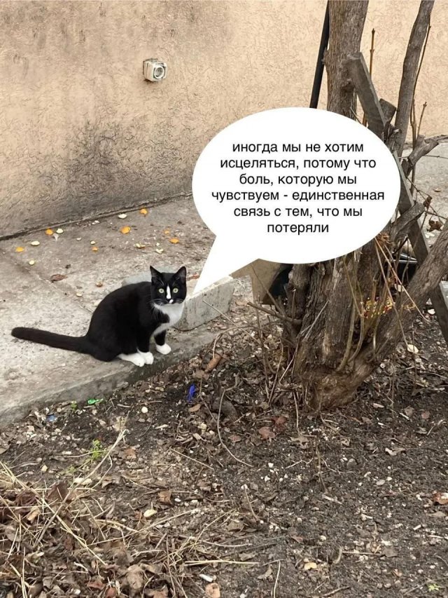 Смешные мемы - 18.09.2025