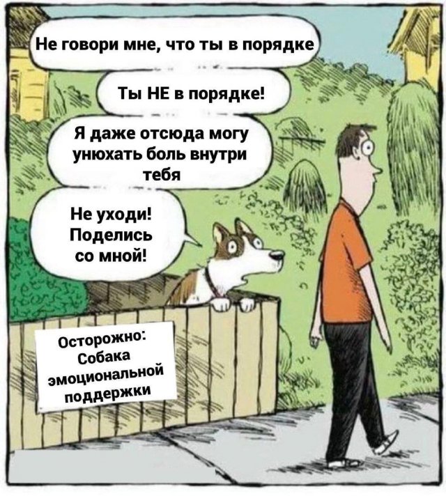 Смешные мемы - 18.09.2025