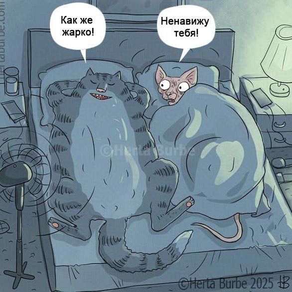 Смешные мемы - 18.09.2025