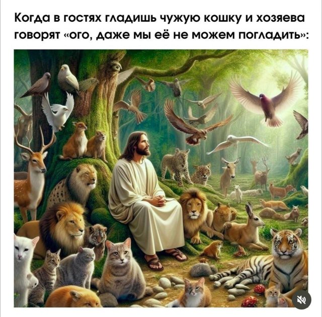 Смешные мемы - 18.09.2025