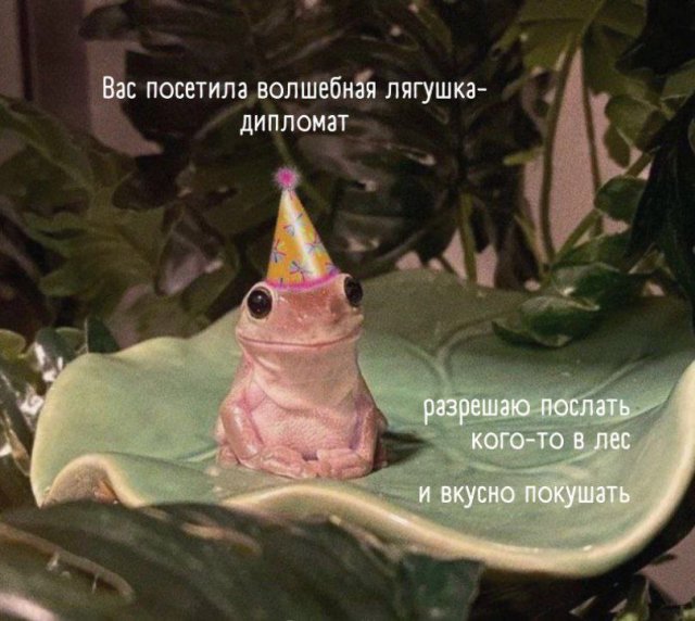 Смешные мемы - 18.09.2025
