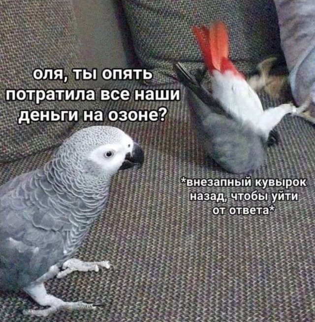 Смешные мемы - 18.09.2025
