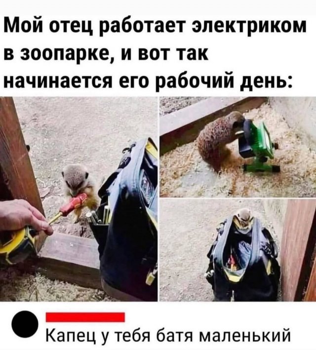 Лучшие шутки и мемы из Сети - 18.09.2025