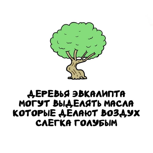 Интересные факты на все случаи жизни