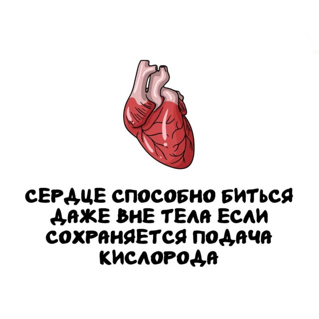 Интересные факты на все случаи жизни