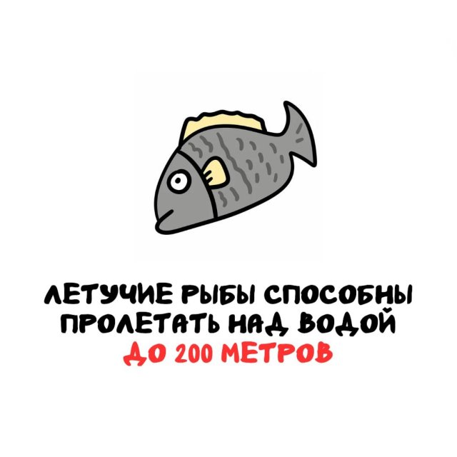 Интересные факты на все случаи жизни