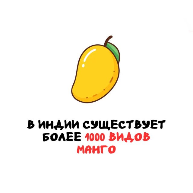 Интересные факты на все случаи жизни
