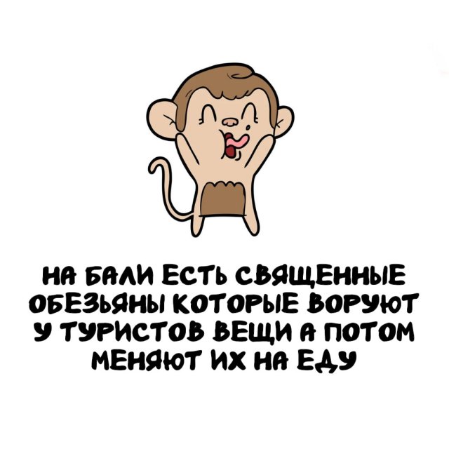Интересные факты на все случаи жизни