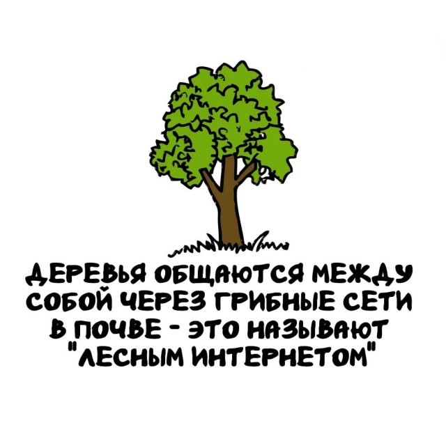 Интересные факты на все случаи жизни