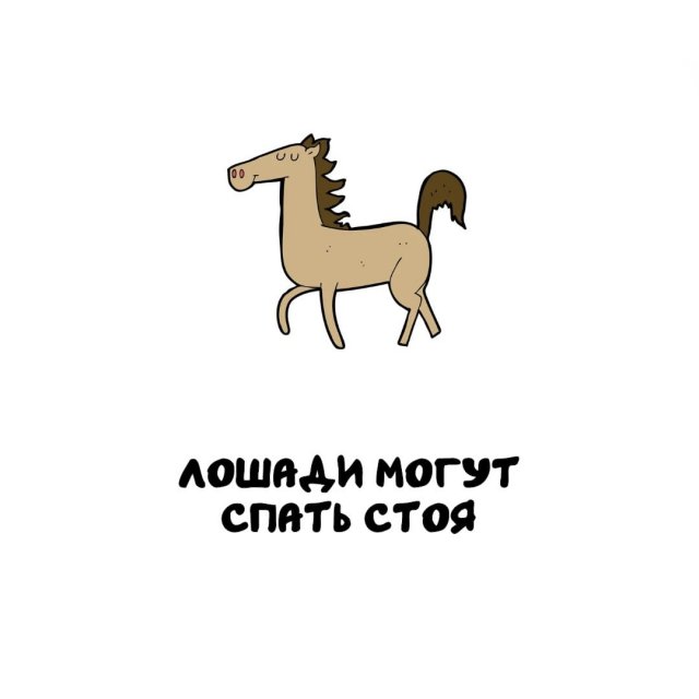 Интересные факты на все случаи жизни