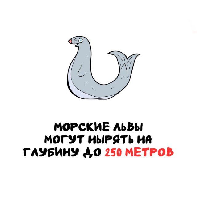 Интересные факты на все случаи жизни