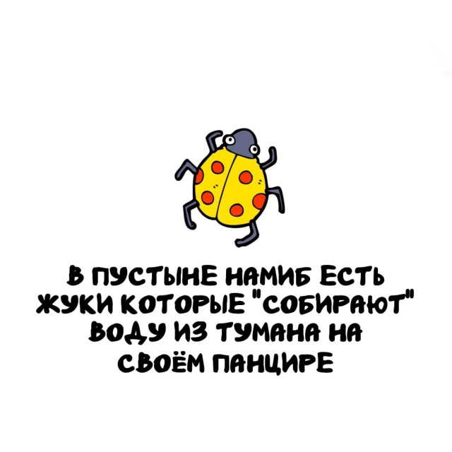 Интересные факты на все случаи жизни