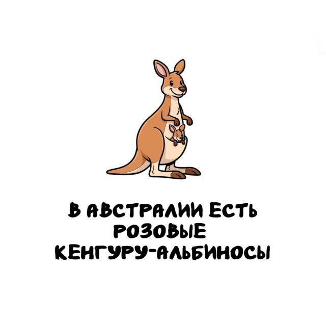 Интересные факты на все случаи жизни