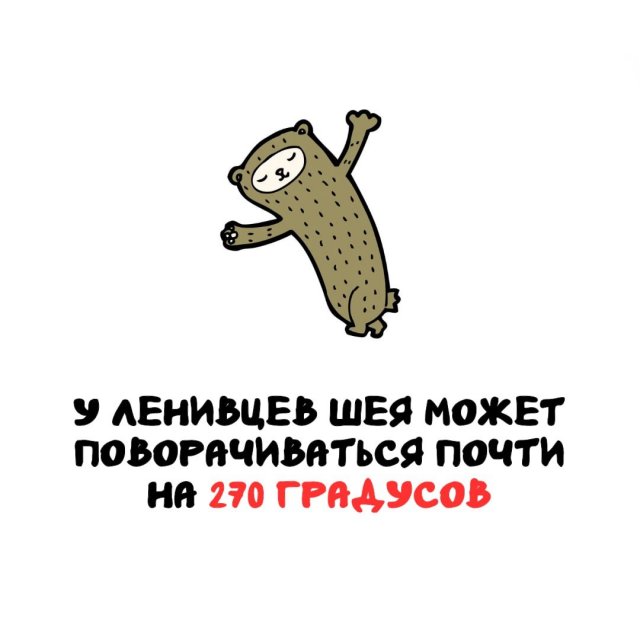 Интересные факты на все случаи жизни