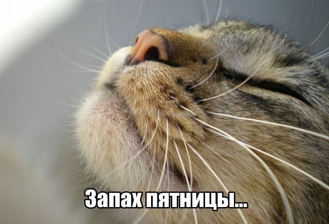 Трынделка - 19.09.2025
