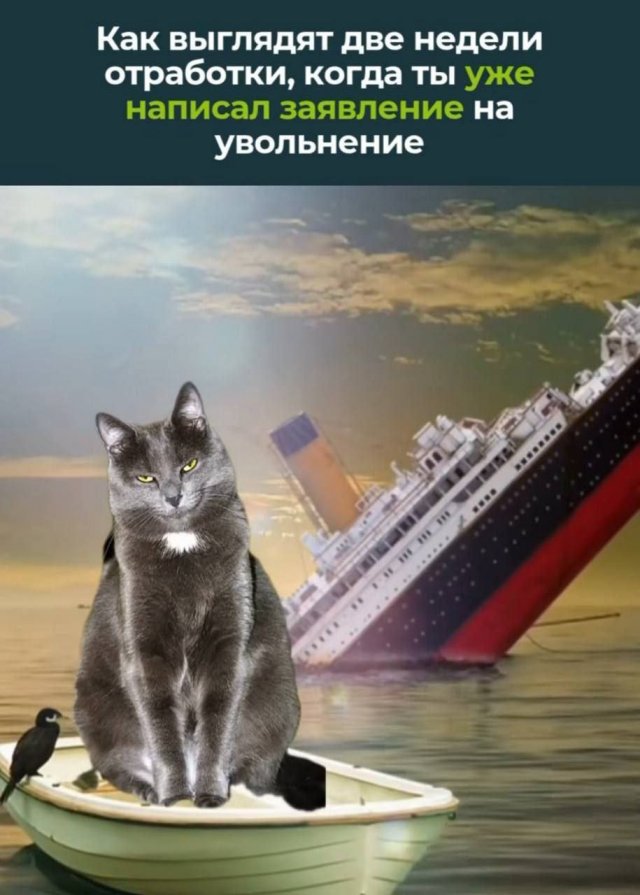 Лучшие шутки и мемы - 19.09.2025
