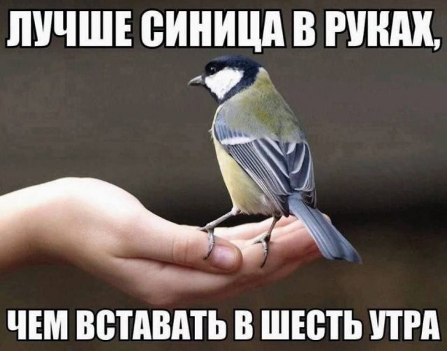 Смешные мемы - 22.09.2025