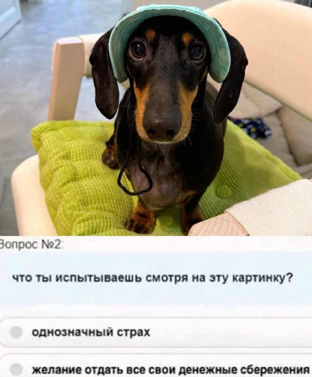 Смешные мемы - 22.09.2025