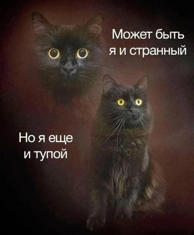 Лучшие шутки и мемы из Сети - 22.09.2025