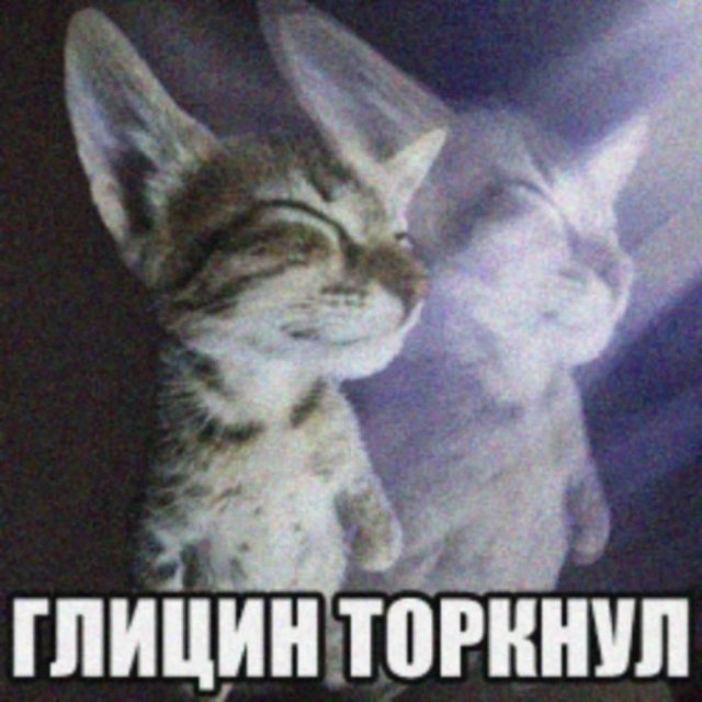 Лучшие шутки и мемы из Сети - 22.09.2025