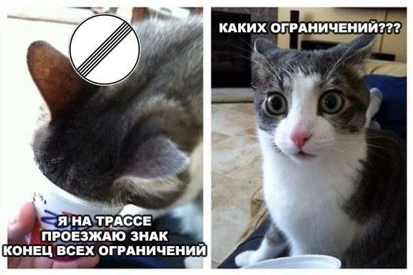 Смешные мемы - 23.09.2025