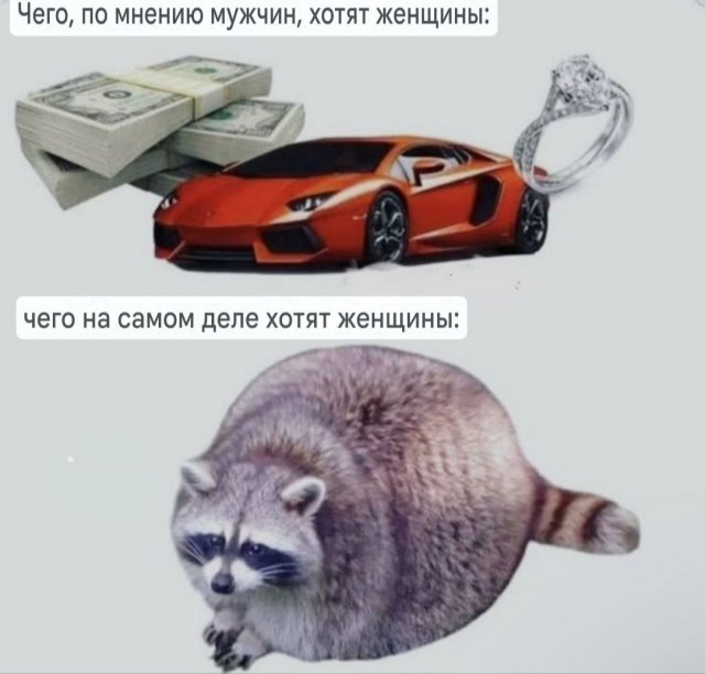 Смешные мемы - 23.09.2025