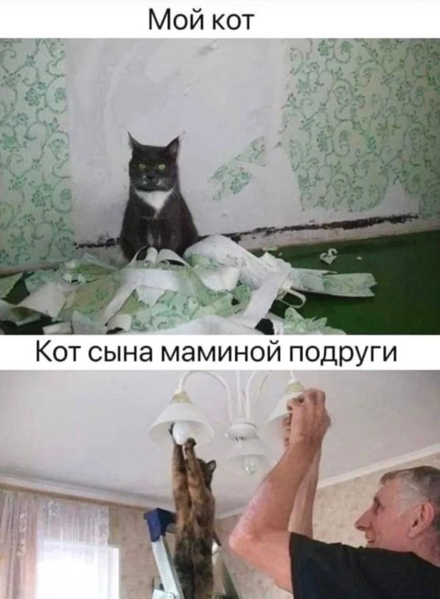 Смешные мемы - 23.09.2025