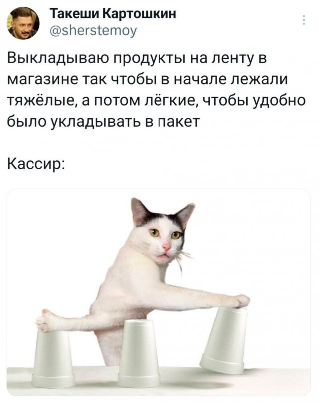 Подборка забавных твитов обо всем