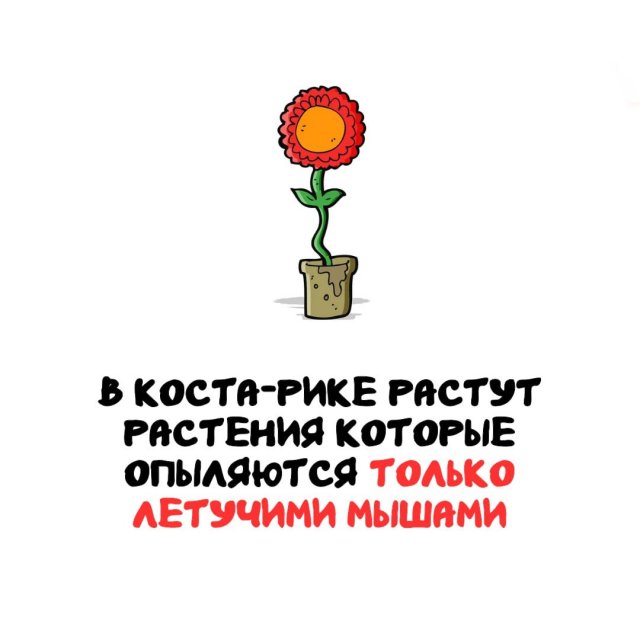 Интересные факты на все случаи жизни