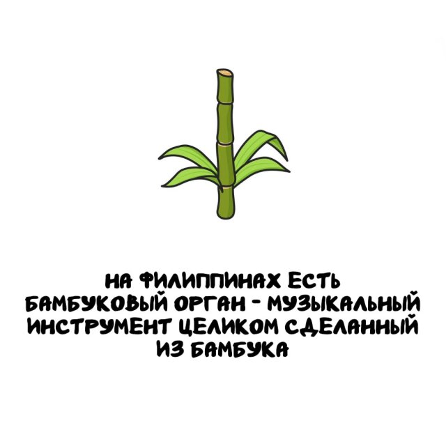 Интересные факты на все случаи жизни