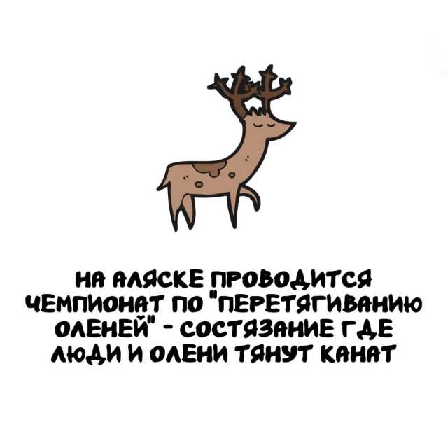 Интересные факты на все случаи жизни