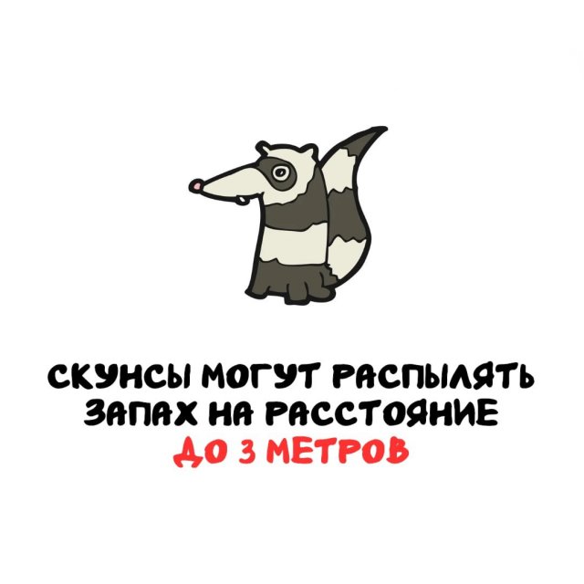 Интересные факты на все случаи жизни