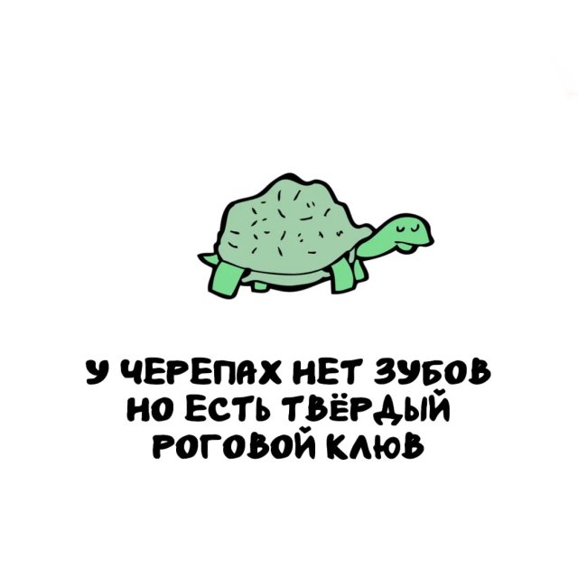 Интересные факты на все случаи жизни