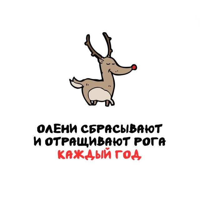 Интересные факты на все случаи жизни