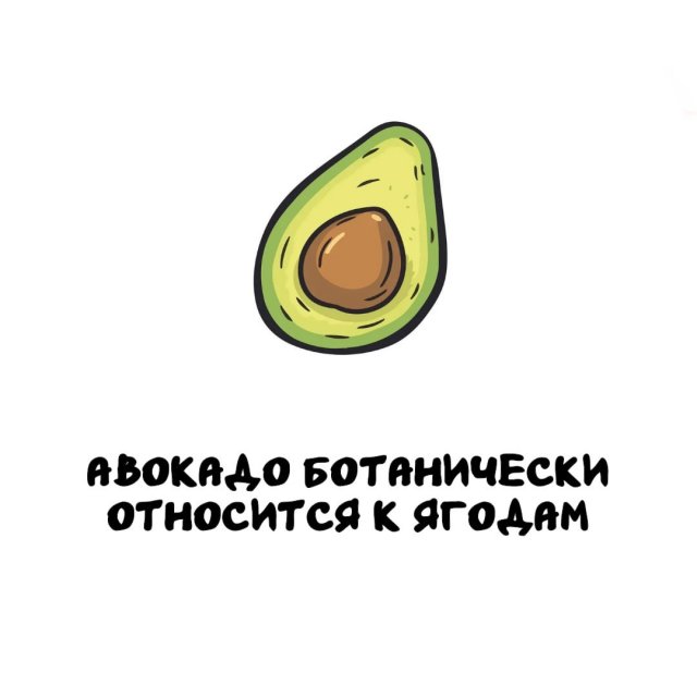 Интересные факты на все случаи жизни