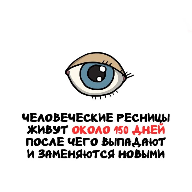 Интересные факты на все случаи жизни