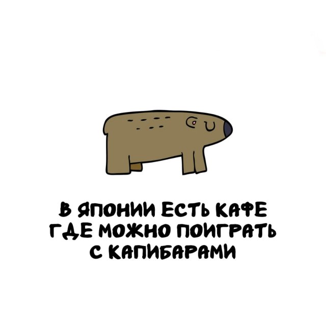 Интересные факты на все случаи жизни