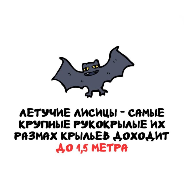 Интересные факты на все случаи жизни