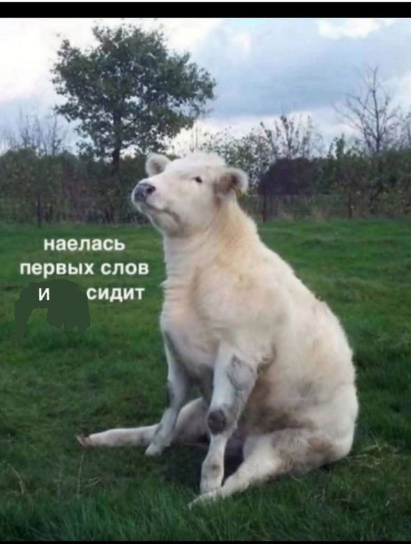 Смешные картинки - 23.09.2025