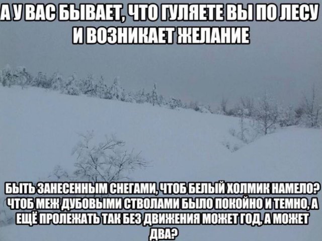 Смешные картинки - 23.09.2025