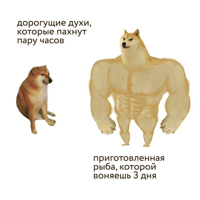 Смешные мемы - 24.09.2025