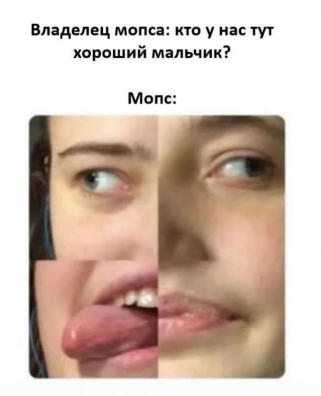 Смешные мемы - 24.09.2025