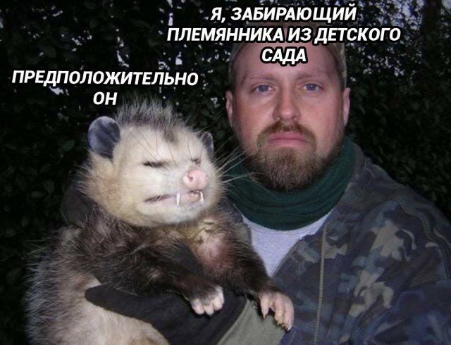 Смешные мемы - 24.09.2025
