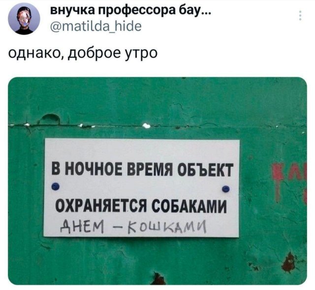 Подборка забавных твитов обо всем