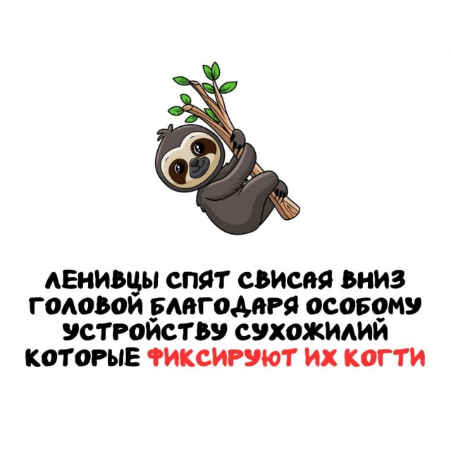 Интересные факты на все случаи жизни